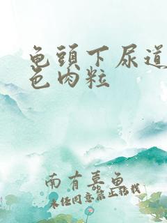 龟头下尿道内白色肉粒