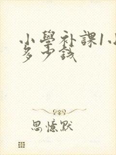 小学补课1小时多少钱