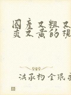 国产又粗又猛又爽又黄的视频在线观