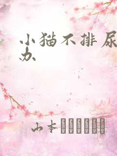 小猫不排尿怎么办