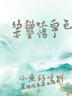 幼猫吐白色泡沫要警惕了