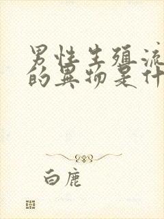 男性生殖流白色的异物是什么情况