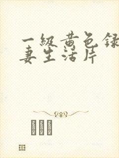 一级黄色录像夫妻生活片