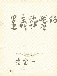 男主沈越的小说名叫什么