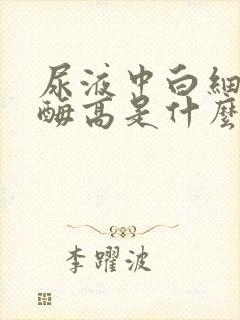 尿液中白细胞酯酶高是什么原因