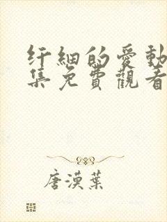 纤细的爱动漫全集免费观看