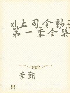 xl上司令动漫第一季全集在线观看免费播放