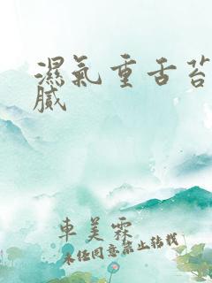 湿气重舌苔白厚腻