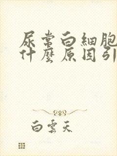 尿常白细胞高是什么原因引起