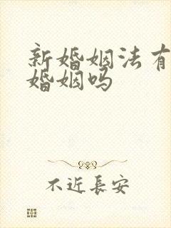 新婚姻法有事实婚姻吗