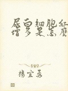 尿白细胞红细胞增多是怎么回事