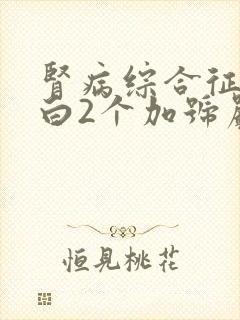 肾病综合征尿蛋白2个加号严重吗