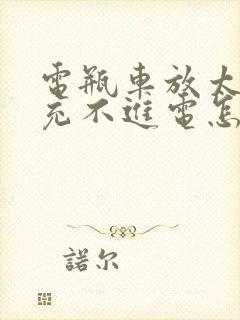 电瓶车放太久了充不进电怎么解决