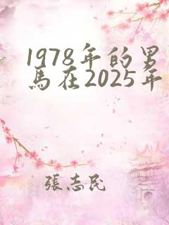 1978年的男马在2025年的运势怎么样