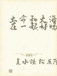 土命和大海水命在一起好吗