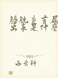 膀胱炎有尿排不出来是什么原因