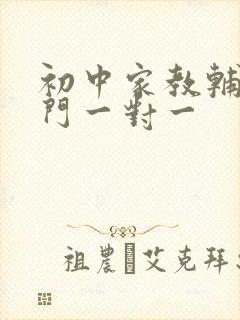 初中家教辅导上门一对一