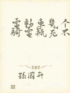 电动车几个月没骑电瓶充不进电怎么办