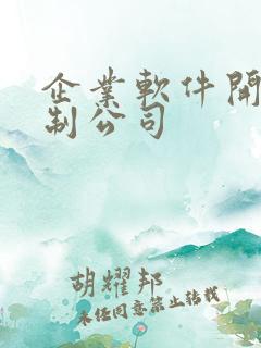 企业软件开发定制公司