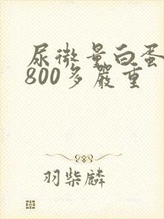 尿微量白蛋白1800多严重