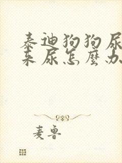 泰迪狗狗尿不出来尿怎么办