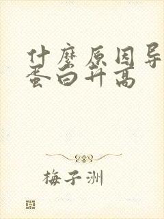 什么原因导致尿蛋白升高