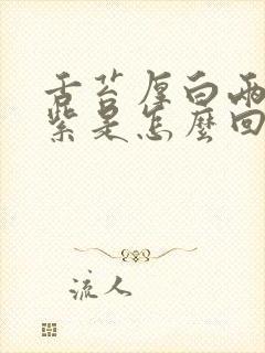 舌苔厚白两边发紫是怎么回事