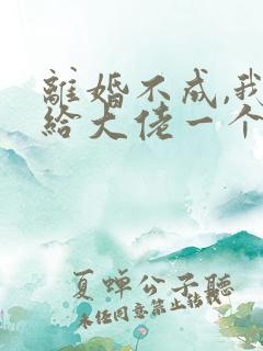 离婚不成,我扔给大佬一个崽跑路小说