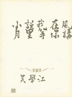 小说我在风花雪月里等你讲的什么