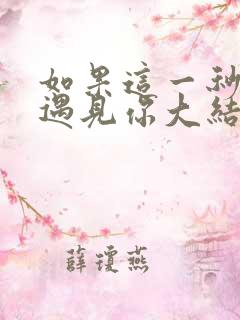 如果这一秒没有遇见你大结局