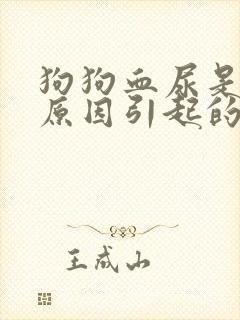 狗狗血尿是什么原因引起的