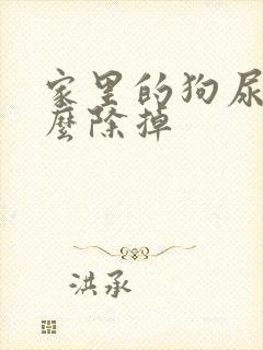 家里的狗尿味怎么除掉