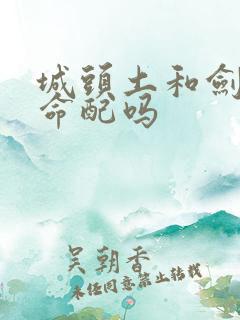 城头土和剑锋金命配吗