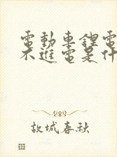 电动车锂电瓶充不进电是什么原因