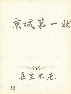 京城第一状师