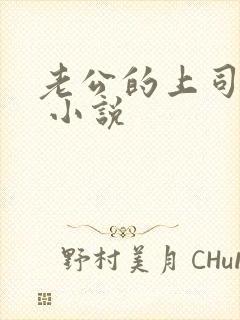 老公的上司王总 小说