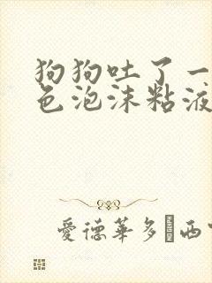 狗狗吐了一滩白色泡沫粘液还拉稀