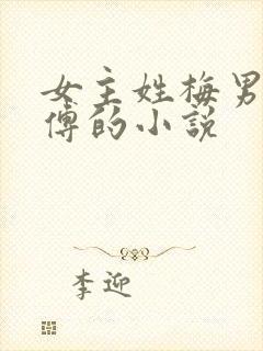 女主姓梅男主姓傅的小说