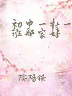 初中一对一补习班哪家好