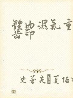 体内湿气重舌头齿印