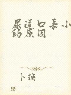 尿道口长小颗粒的原因