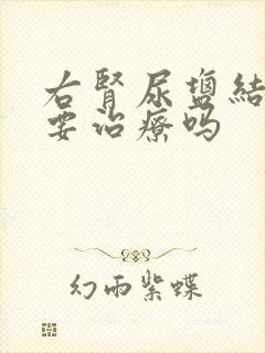 右肾尿盐结晶需要治疗吗