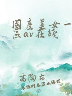 国产美女一区二区av在线