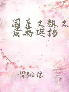 国产又粗又长又黄无遮挡