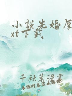 小说先婚厚爱txt下载