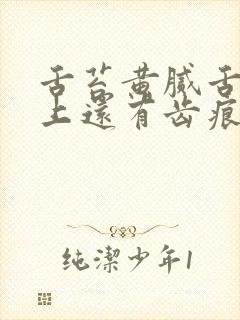 舌苔黄腻舌头边上还有齿痕