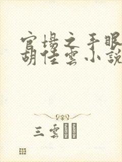 官场之手眼通天胡佳云小说