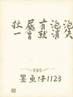 拉尿有泡泡但是一会就消失了