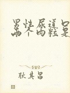 男性尿道口长了两个肉粒是怎么回事