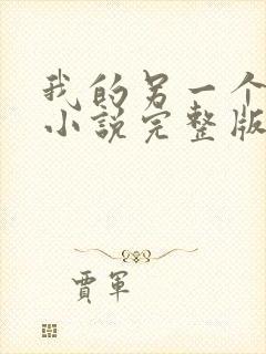 我的另一个老公小说完整版阅读全文